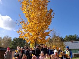 56139005412797278139551646729941865518992074n